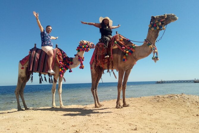 Camel & Horse Riding Tour