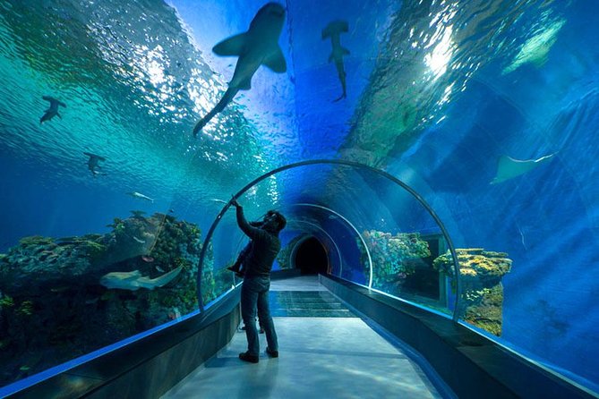 Hurghada Grand Aquarium