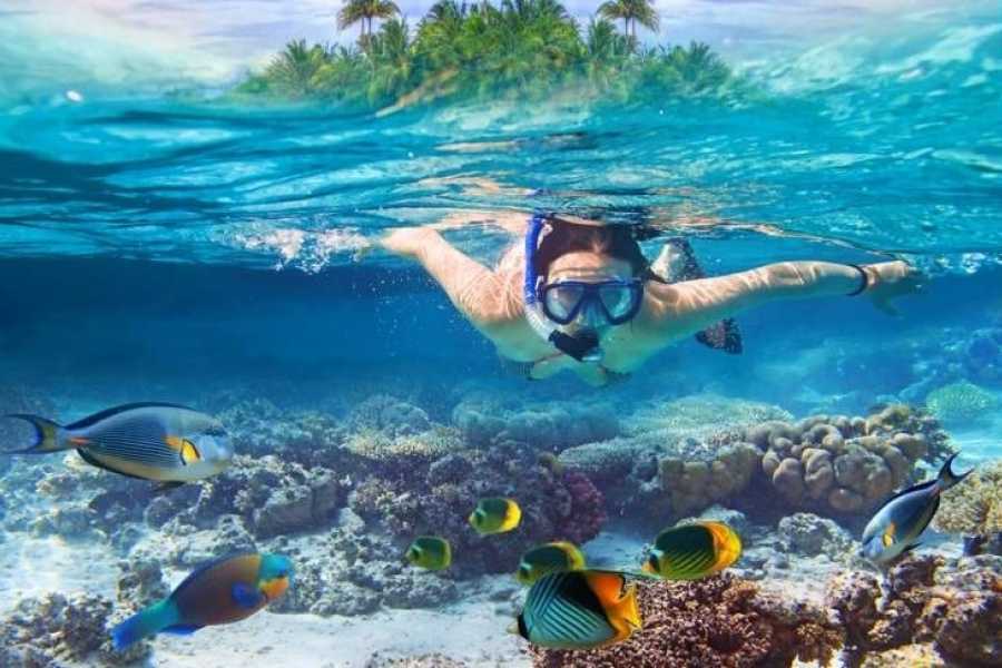 Sharm El Naga Snorkeling Trip