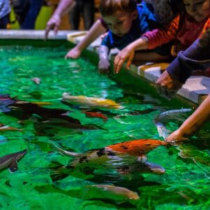 Hurghada Grand Aquarium