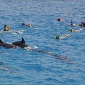 Snorkeling Trip to Dolphin House Hurghada